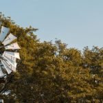 Pioneer Days